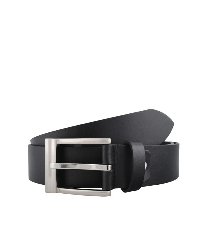 Riem “6799cv001” 1 Riem “6799cv001”