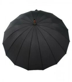 Herenparaplu Lang Sixteen