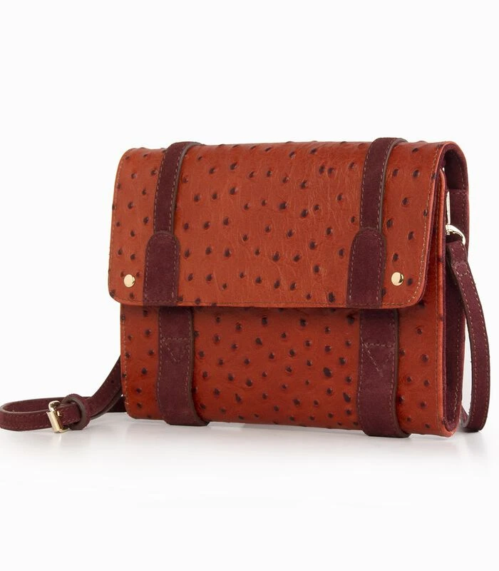Koppeling Die Met De Hand Of Crossbody Wordt Gedragen TESS 2 Koppeling Die Met De Hand Of Crossbody Wordt Gedragen TESS - Afbeelding 2
