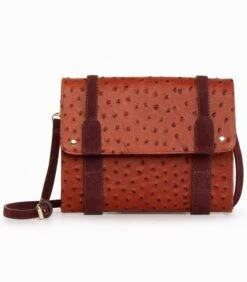 Koppeling Die Met De Hand Of Crossbody Wordt Gedragen TESS