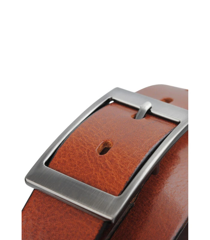 Riem “6620cv001” 2 Riem “6620cv001” - Afbeelding 2