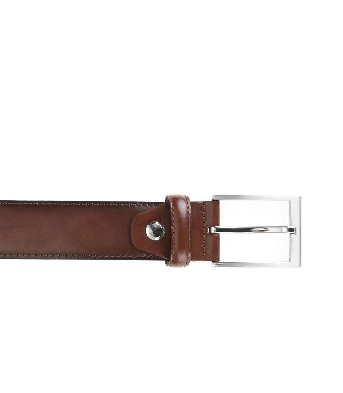 Riem Bruin 315 2 Riem Bruin 315 - Afbeelding 2