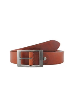 Riem “6620cv001”